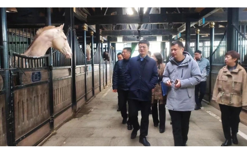 高雷副廳長(zhǎng)在野馬集團(tuán)調(diào)研時(shí)表示，要通過(guò)科技助力，精準(zhǔn)解決“卡脖子”問(wèn)題