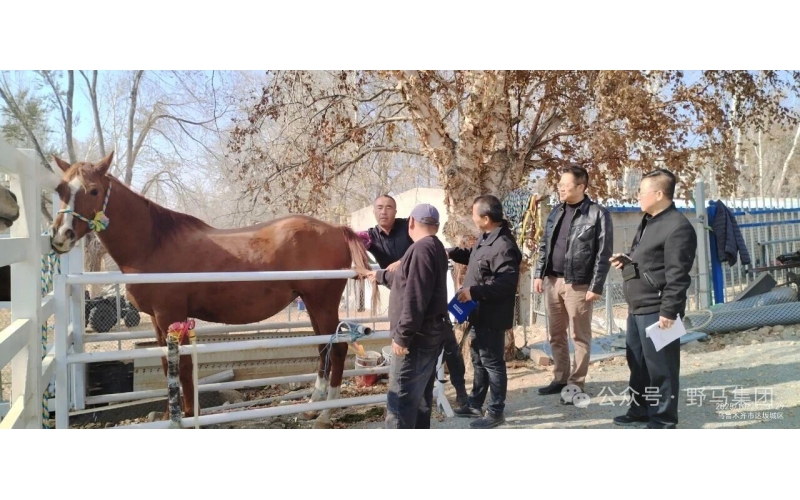 政策支持 企業(yè)發(fā)力 農(nóng)民受益&mdash;&mdash;現(xiàn)代畜禽種業(yè)提升專項資金項目成效顯著