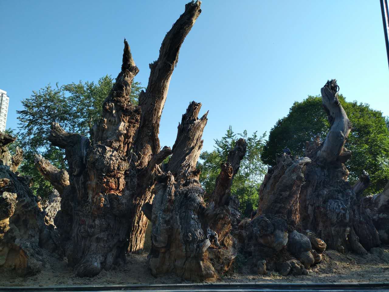 圖片關(guān)鍵詞 圖片關(guān)鍵詞