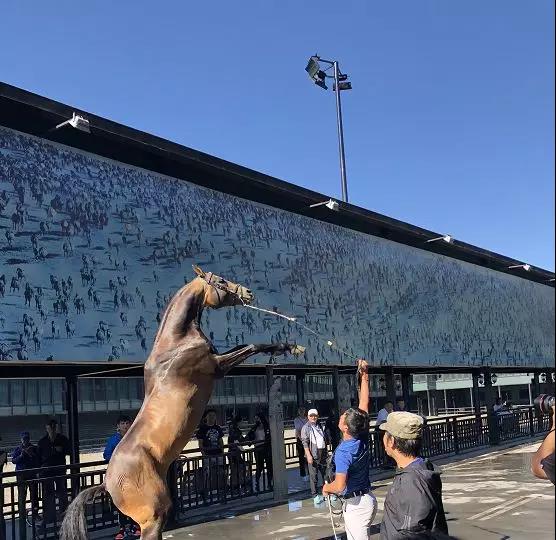 圖片關(guān)鍵詞